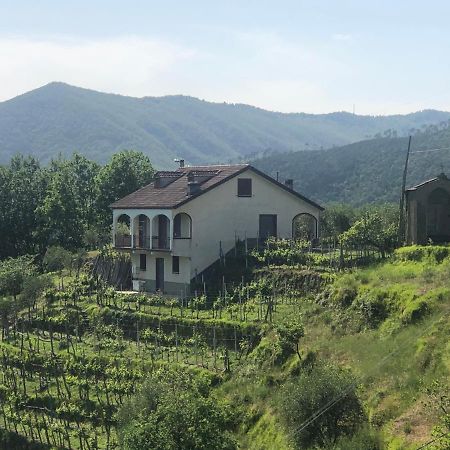 Villa Elena Mezzanego エクステリア 写真