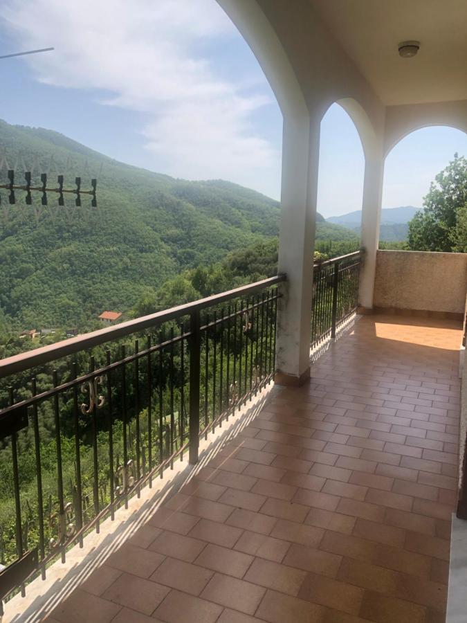Villa Elena Mezzanego エクステリア 写真