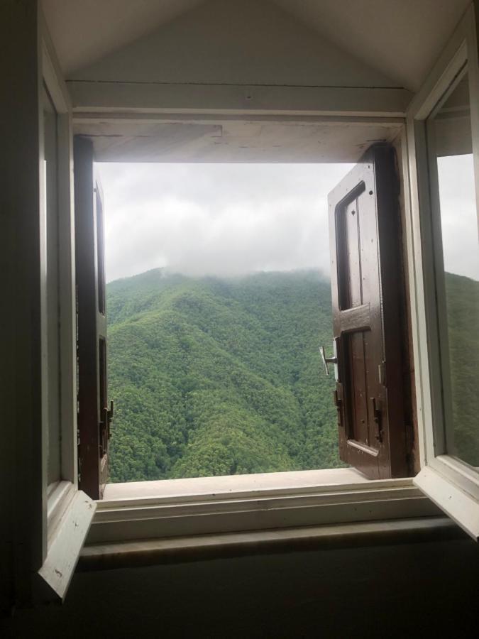 Villa Elena Mezzanego エクステリア 写真