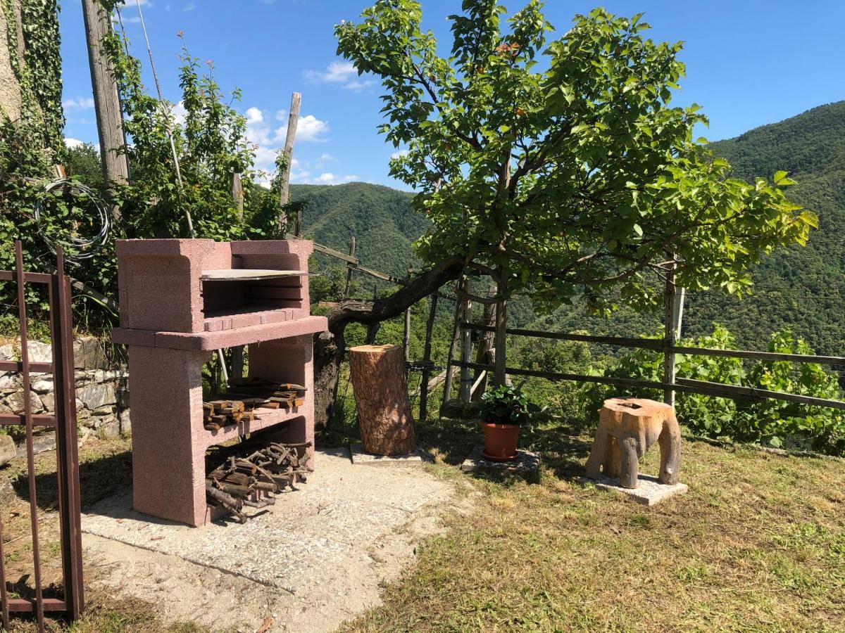 Villa Elena Mezzanego エクステリア 写真