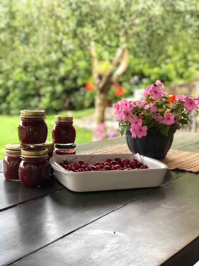 Villa Elena Mezzanego エクステリア 写真