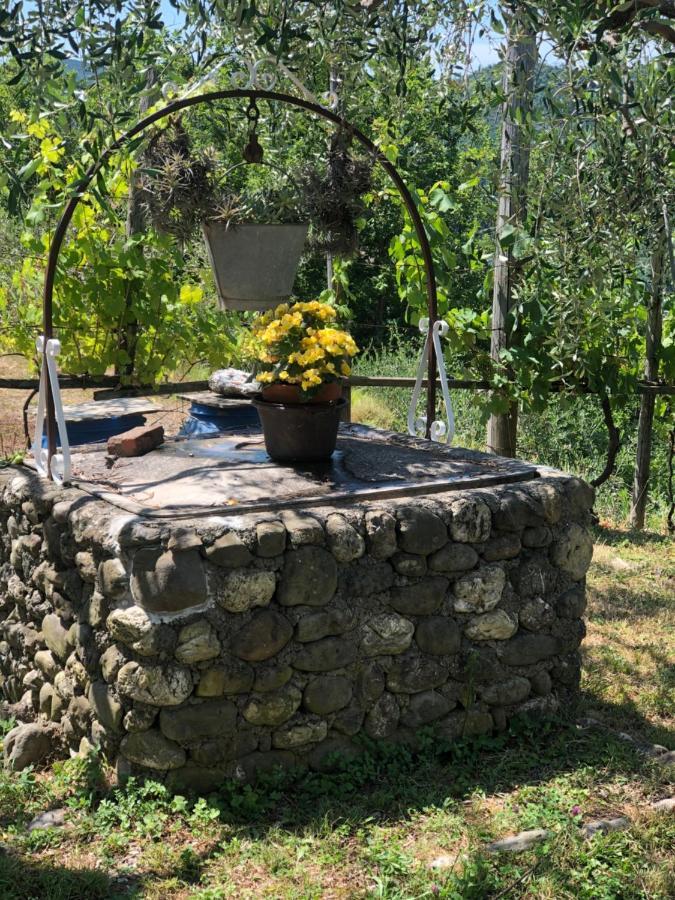 Villa Elena Mezzanego エクステリア 写真