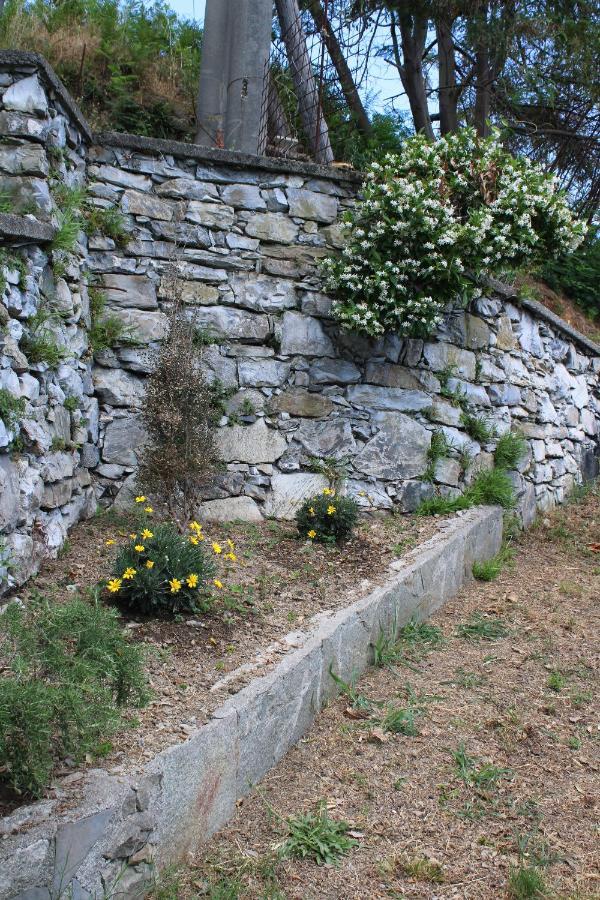 Villa Elena Mezzanego エクステリア 写真