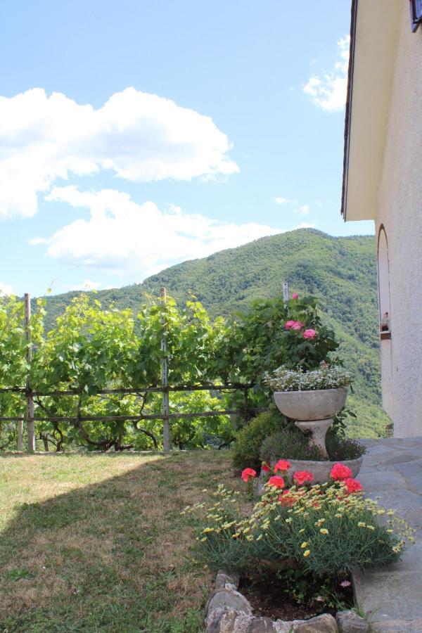 Villa Elena Mezzanego エクステリア 写真