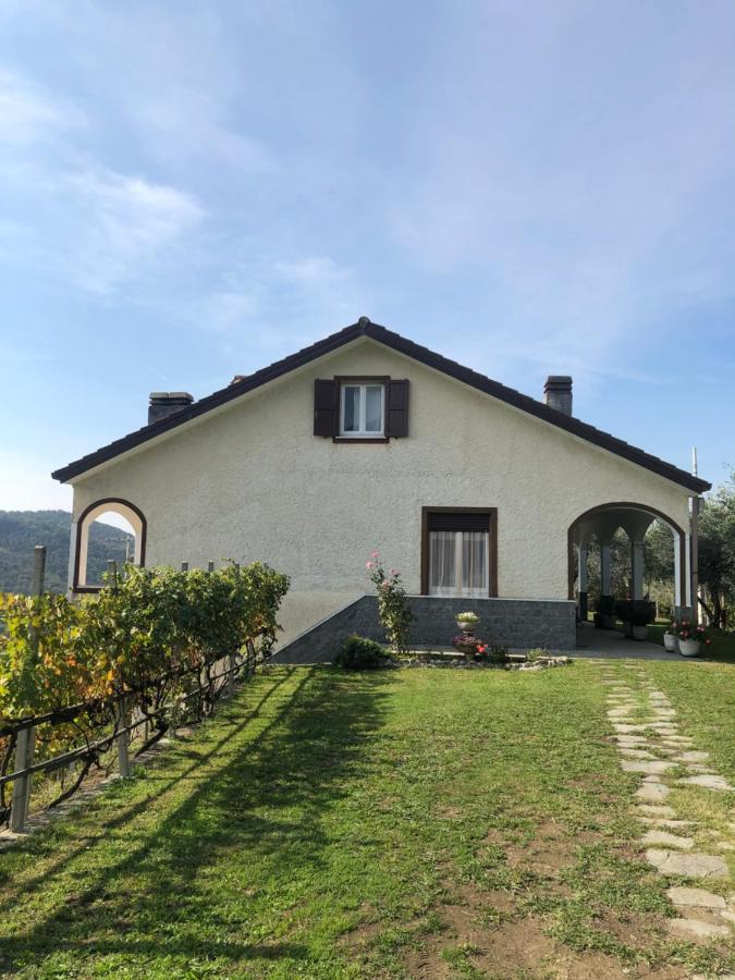 Villa Elena Mezzanego エクステリア 写真